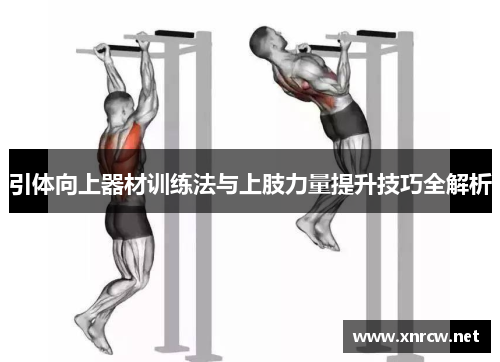 引体向上器材训练法与上肢力量提升技巧全解析