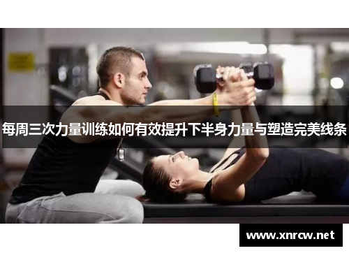 每周三次力量训练如何有效提升下半身力量与塑造完美线条